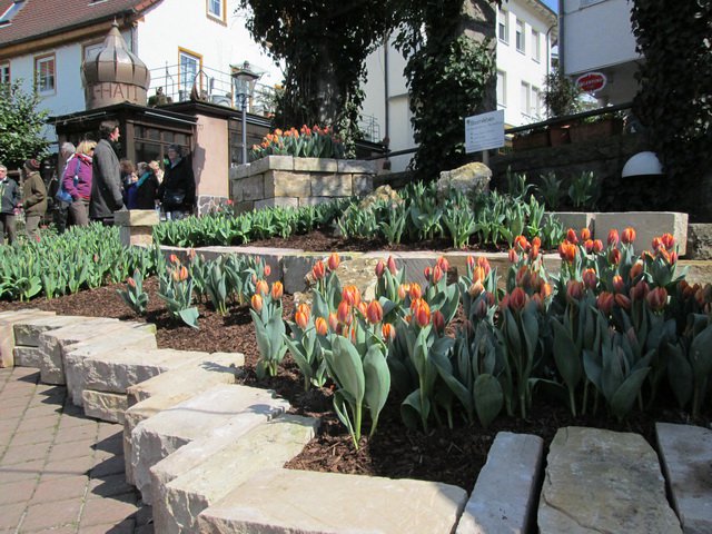 Backnanger Tulpenfrühling 2015