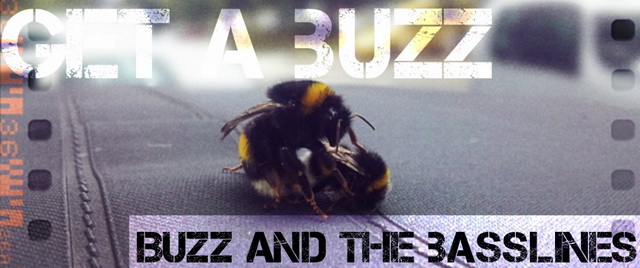 Buzz Line