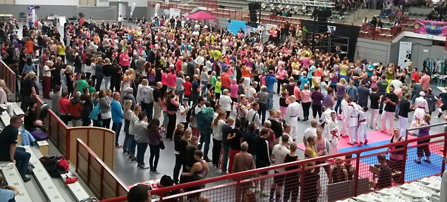 Impressionen Mobi-Tag Flensburg 2014 - Copyright Hamann