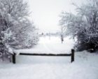Bilder vom Winter 2009-2010-35-baca875e34
