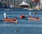 DrachenbootCup-2013-29-86f7f39016