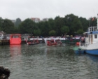 Impressionen Drachenboot-Cup Flensburg 30.08.2014-28-a35414ac14
